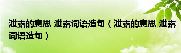 泄露的意思 泄露词语造句（泄露的意思 泄露词语造句）