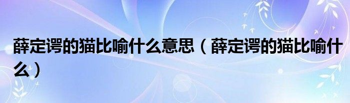 薛定谔的猫比喻什么意思（薛定谔的猫比喻什么）