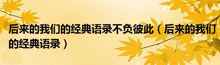 后来的我们的经典语录不负彼此（后来的我们的经典语录）