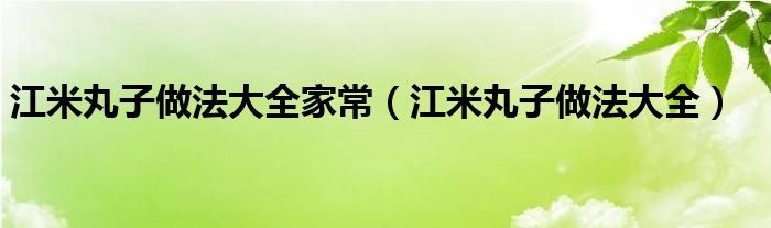 江米丸子做法大全家常（江米丸子做法大全）