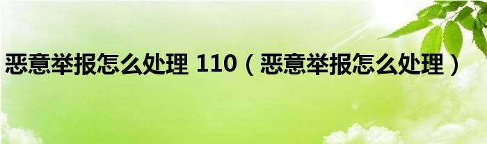 恶意举报怎么处理 110（恶意举报怎么处理）