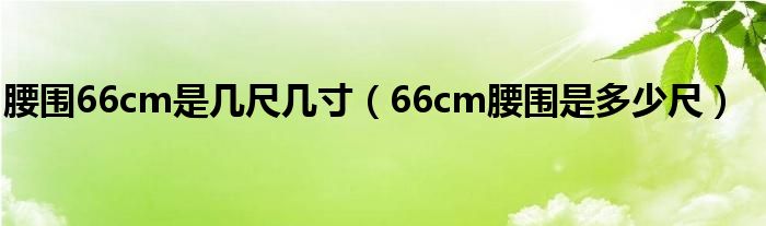 腰围66cm是几尺几寸（66cm腰围是多少尺）