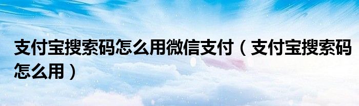 支付宝搜索码怎么用微信支付（支付宝搜索码怎么用）