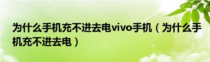 为什么手机充不进去电vivo手机（为什么手机充不进去电）