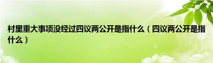 村里重大事项没经过四议两公开是指什么（四议两公开是指什么）