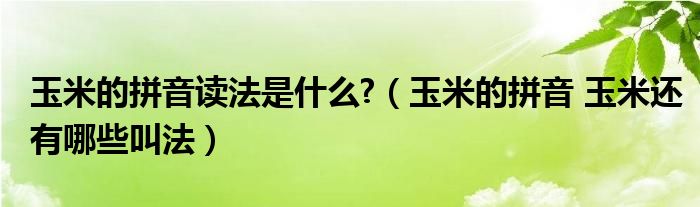 玉米的拼音读法是什么?（玉米的拼音 玉米还有哪些叫法）