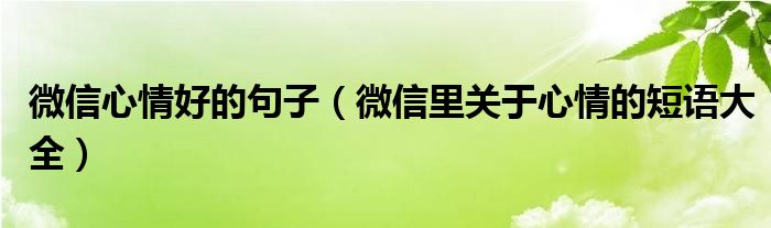 微信心情好的句子（微信里关于心情的短语大全）