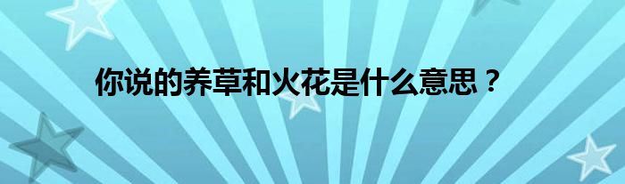 你说的养草和火花是什么意思？