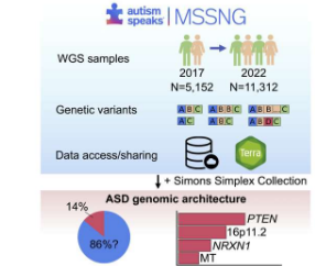 世界上最大的自闭症全基因组测序研究揭示了134个自闭症相关基因