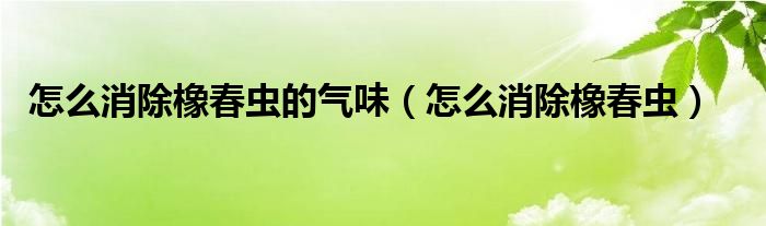 怎么消除橡春虫的气味（怎么消除橡春虫）