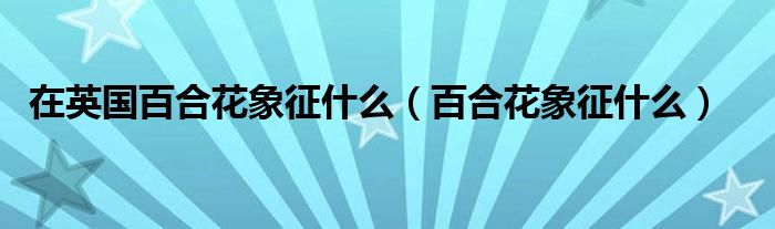 在英国百合花象征什么（百合花象征什么）