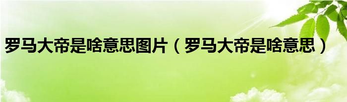 罗马大帝是啥意思图片（罗马大帝是啥意思）