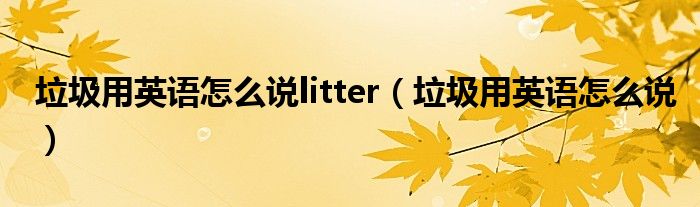 垃圾用英语怎么说litter（垃圾用英语怎么说）