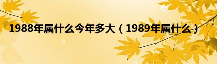 1988年属什么今年多大（1989年属什么）