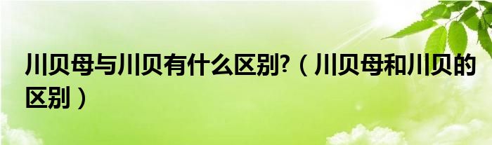 川贝母与川贝有什么区别?（川贝母和川贝的区别）