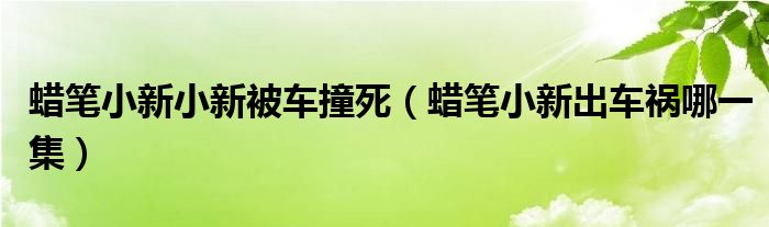 蜡笔小新小新被车撞死（蜡笔小新出车祸哪一集）