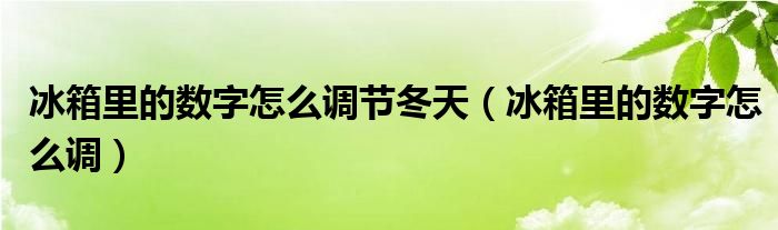 冰箱里的数字怎么调节冬天（冰箱里的数字怎么调）