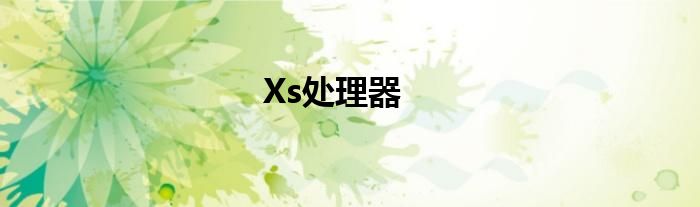 Xs处理器