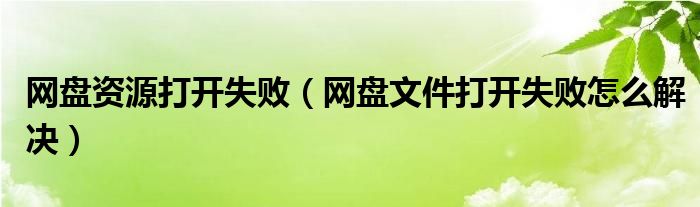 网盘资源打开失败（网盘文件打开失败怎么解决）