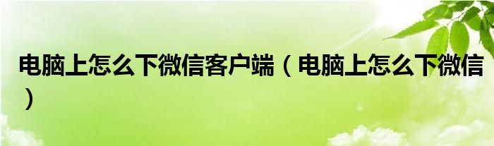 电脑上怎么下微信客户端（电脑上怎么下微信）