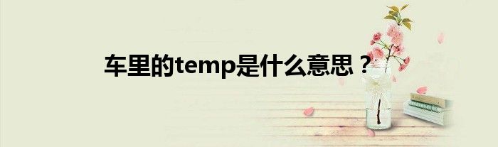 车里的temp是什么意思？