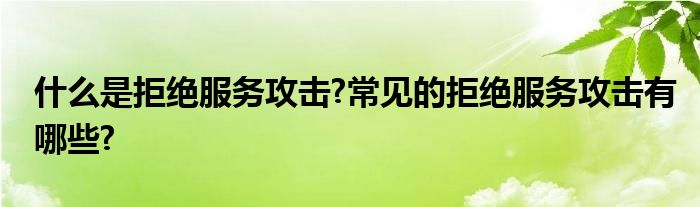 什么是拒绝服务攻击?常见的拒绝服务攻击有哪些?