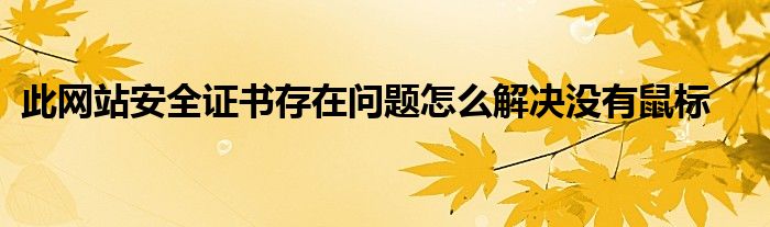 此网站安全证书存在问题怎么解决没有鼠标