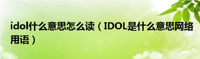 idol什么意思怎么读（IDOL是什么意思网络用语）