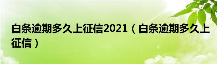 白条逾期多久上征信2021（白条逾期多久上征信）