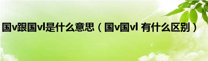 国v跟国vl是什么意思（国v国vl 有什么区别）