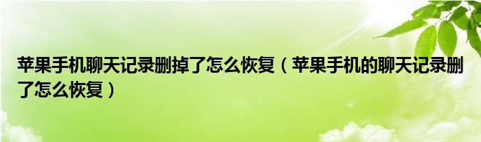 苹果手机聊天记录删掉了怎么恢复（苹果手机的聊天记录删了怎么恢复）