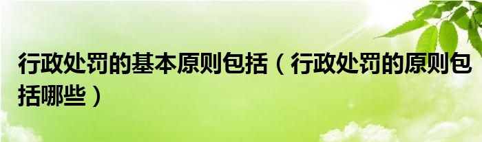 行政处罚的基本原则包括（行政处罚的原则包括哪些）