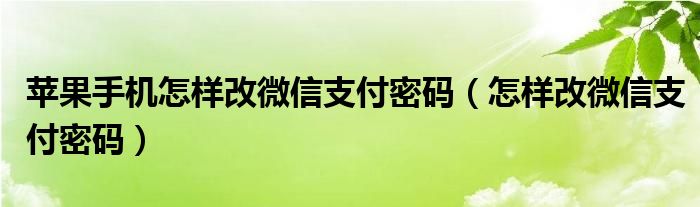 苹果手机怎样改微信支付密码（怎样改微信支付密码）