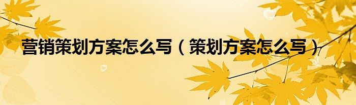 营销策划方案怎么写（策划方案怎么写）