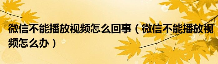 微信不能播放视频怎么回事（微信不能播放视频怎么办）