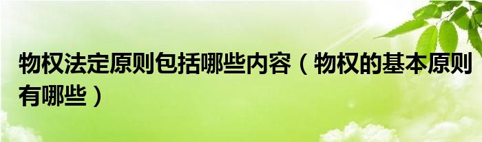 物权法定原则包括哪些内容（物权的基本原则有哪些）