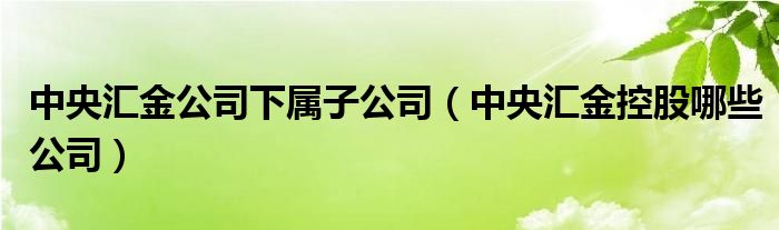 中央汇金公司下属子公司（中央汇金控股哪些公司）