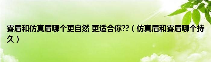 雾眉和仿真眉哪个更自然 更适合你??（仿真眉和雾眉哪个持久）