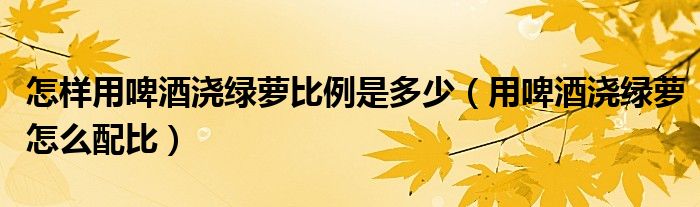 怎样用啤酒浇绿萝比例是多少（用啤酒浇绿萝怎么配比）