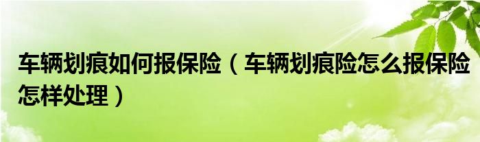 车辆划痕如何报保险（车辆划痕险怎么报保险怎样处理）