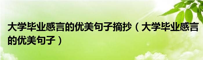 大学毕业感言的优美句子摘抄（大学毕业感言的优美句子）