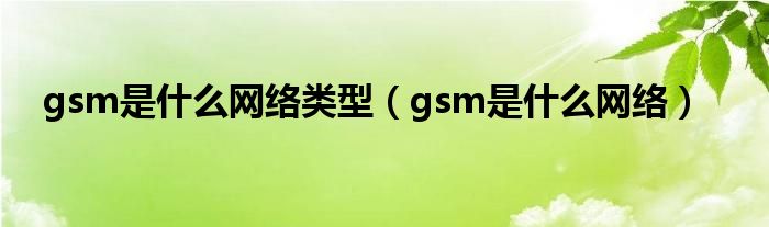 gsm是什么网络类型（gsm是什么网络）