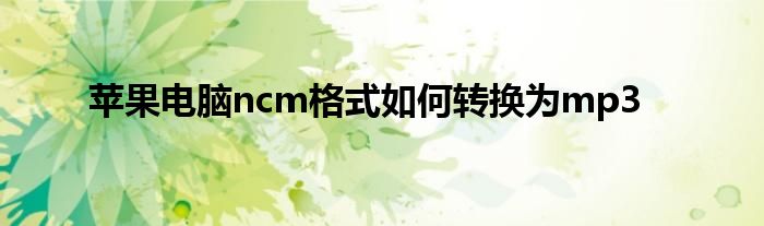 苹果电脑ncm格式如何转换为mp3