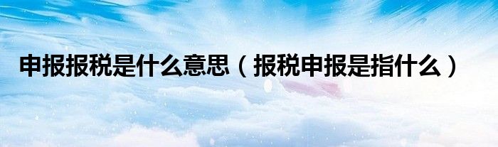 申报报税是什么意思（报税申报是指什么）