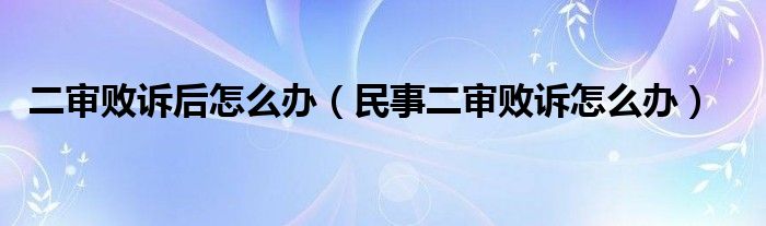 二审败诉后怎么办（民事二审败诉怎么办）