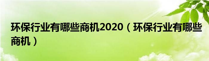 环保行业有哪些商机2020（环保行业有哪些商机）