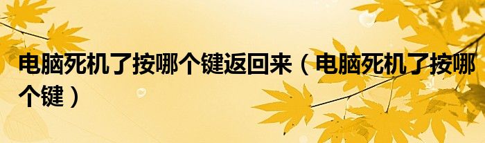 电脑死机了按哪个键返回来（电脑死机了按哪个键）