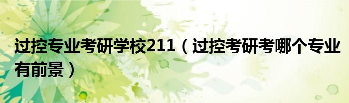 过控专业考研学校211（过控考研考哪个专业有前景）