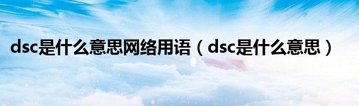 dsc是什么意思网络用语（dsc是什么意思）