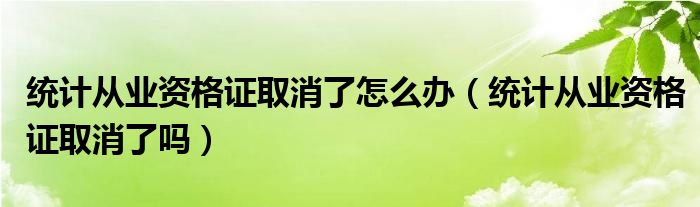 统计从业资格证取消了怎么办（统计从业资格证取消了吗）